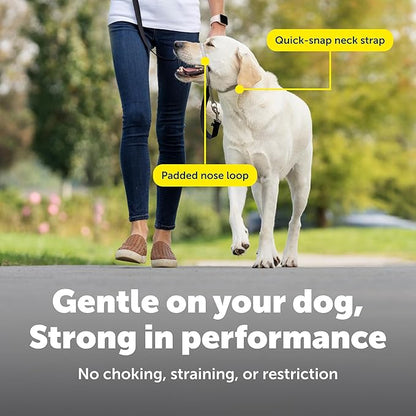 PetSafe Gentle Leader Headcollar No-Pull Dog Collar - Helps Improve Walks - Durable Nylon Construction - Padded Nose Loop - Adjustable Fit - Comfort Walking Halter - Large, Charcoal