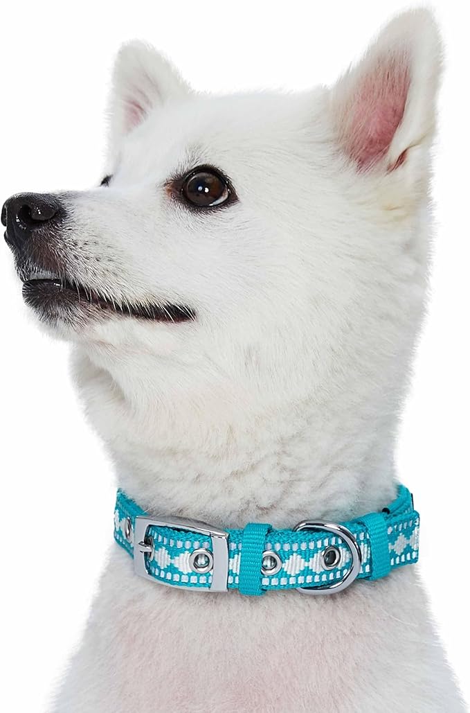 Blueberry Pet Reflective Jacquard Dog Collar with Neoprene Padding & Metal Buckle | Soft & Adjustable Safety Collar - Peacock, Neck 17-20.5", for Large Breed