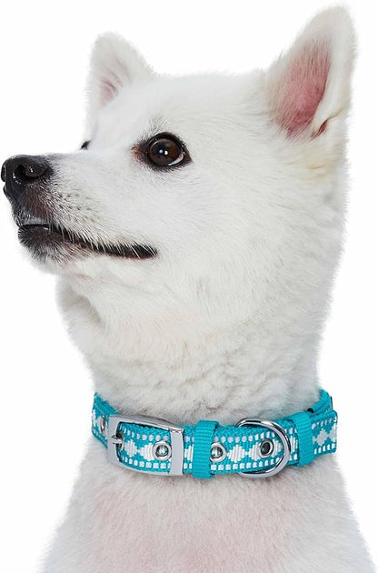 Blueberry Pet Reflective Jacquard Dog Collar with Neoprene Padding & Metal Buckle | Soft & Adjustable Safety Collar - Peacock, Neck 17-20.5", for Large Breed