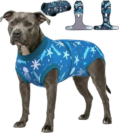PetWarm Dog Suit for Surgery Recovery, Shirts for Dogs, Dog Bodysuit After Surgery, Soft Full Coverage Recovery Outfit, Designed for Healing Comfor, Marine Animal Patterns, Blue, 2XL