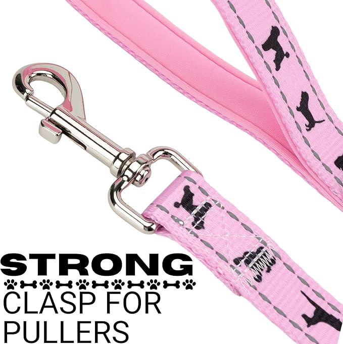 EcoBark Dog Leash - Soft & Reflective Comfort Training Leashes with Padded Handle - Safe, Strong, & for Small, Medium or Large Dogs (Baby Pink)