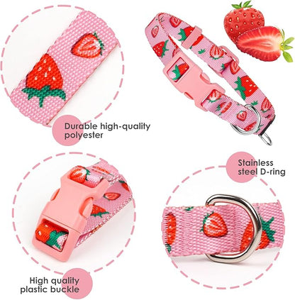 azuza Fruit Dog Collar and Leash Set, Collar Nylon and Matching Leash, Great Option for Extra Small Dogs, Strawberry, XS (Neck: 8"-12")