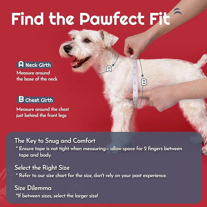 Eagloo Small Dog Harness and Leash Set, Step in Puppy Vest with Breathable Soft Mesh, Walking Reflective Pet Harness for Medium Small Dogs, Red, M
