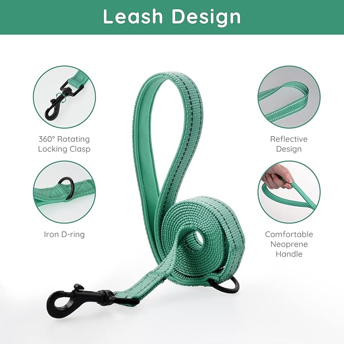 BELLA & PAL Step in Vest Harness for Small and Medium Dogs, No Pull Small Dog Harness with Leash Set, Comfortable Air Mesh Dog Vest Harness with Reflective Strip (Emerald, XS)