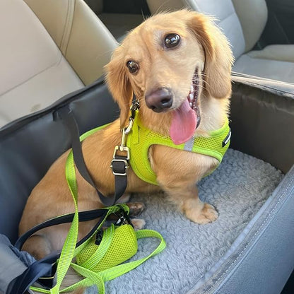 Best Pet Supplies Voyager Step-in Air All Weather Mesh Harness and Reflective Dog 5ft Leash Combo with Neoprene Handle, for Small, Medium and Large Breed Puppies - Set (Lime Green), X-Small