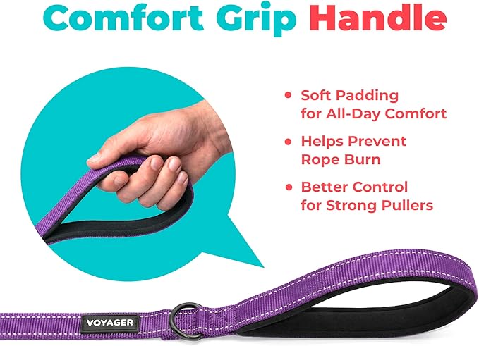 Best Pet Supplies Voyager Reflective Dog Leash or Collar with Neoprene Handle, for Small, Medium, and Large Breed Puppies, Cute and Heavy Duty for Walking, Running and Training - Purple (Leash), L