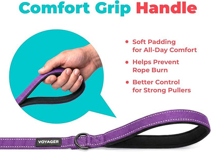 Best Pet Supplies Voyager Reflective Dog Leash or Collar with Neoprene Handle, for Small, Medium, and Large Breed Puppies, Cute and Heavy Duty for Walking, Running and Training - Purple (Leash), L
