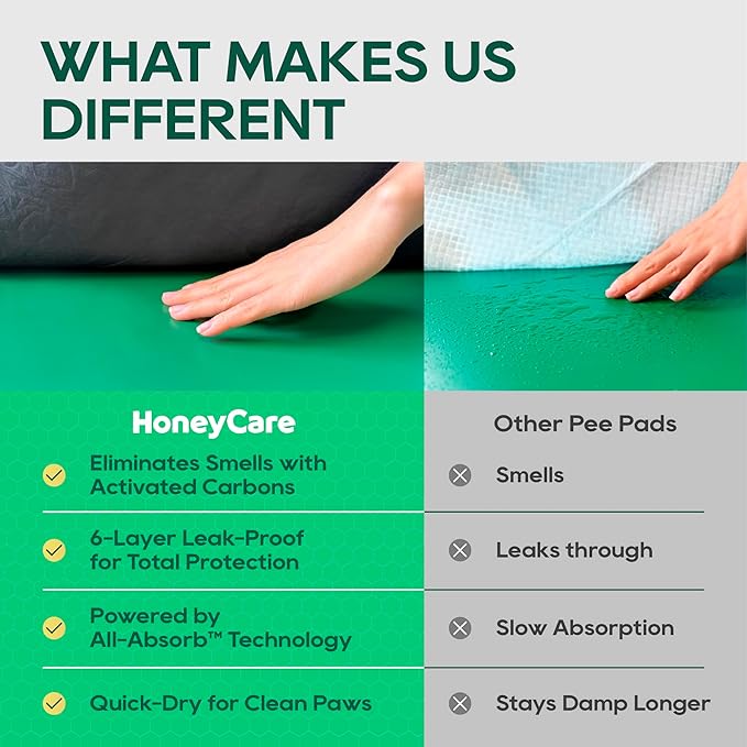 HONEY CARE All-Absorb Puppy Training Pads | Doggie Potty Pads Absorb Eliminating Urine Odor, Ultra Charcoal Dog Pee Pad (Carbon, L 22x23 inch, 100ct)