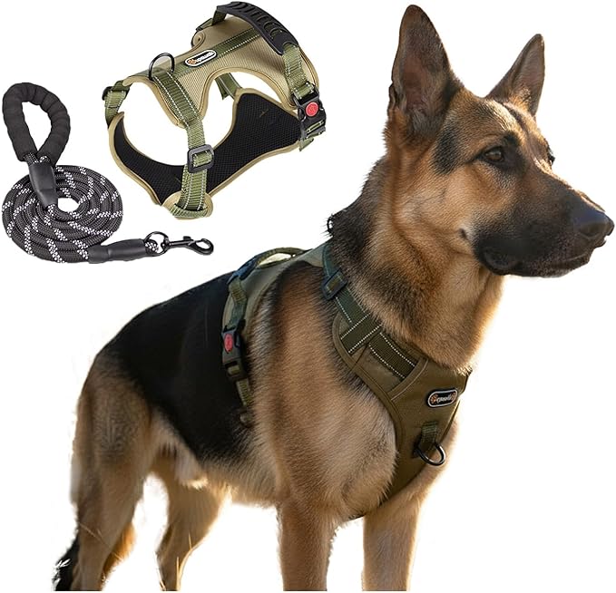 Tactical Dog Harness and Leash Set, No Pull Adjustable Heavy Duty Pet Vest with Handle, Reflective Harnesses and Leashes for Large Breed Dogs, Running Chest Collar for Puppy Safety L Size