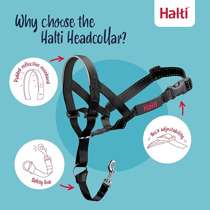 Halti Headcollar Size 3, Black & Halti Training Leash Size Large, Black Combination Pack - Stop Your Dog Pulling on the Leash. Adjustable, Lightweight with Padded Nose Band. Suitable for Medium Dogs