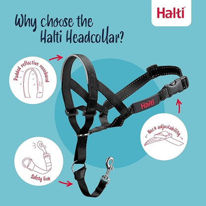 Halti Headcollar Size 3, Black & Halti Training Leash Size Large, Black Combination Pack - Stop Your Dog Pulling on the Leash. Adjustable, Lightweight with Padded Nose Band. Suitable for Medium Dogs