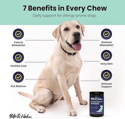 Mo & Haku Dog Allergy Relief Chews - 180 Soft Chews Immune Itch Support for Dogs Itchy Skin, Ears, Paw Licking, Seasonal Allergies - with Prebiotics & Probiotics, Colostrum & Salmon Oil
