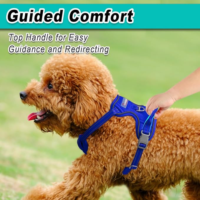 BARKBAY Dog Harness No Pull Mesh for Small Dogs - Adjustable, Reflective, Comfortable, No Choke, Heavy-Duty - Perfect for Outdoor Training, Walking, and Hiking-Strong&Durable- S & Sapphire Blue Mesh