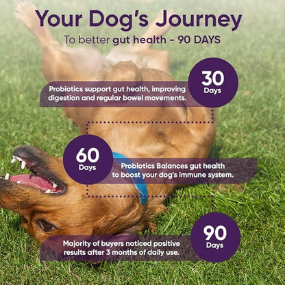 iHeartDogs 3-in-1 Probiotic for Dogs with Pumpkin for Improved Digestion & Gut Health - Dog Probiotics and Digestive Enzymes, 90 Count