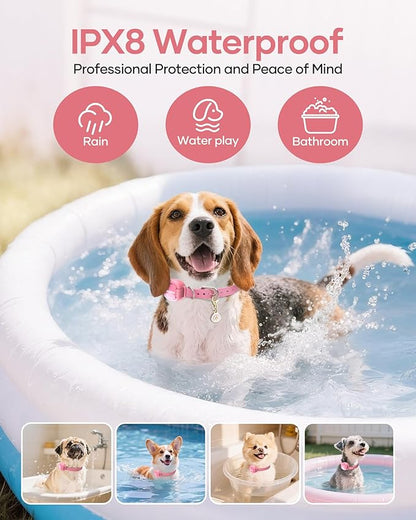 Jugbow 2-in-1 Pet ID Tag & Shock Collar for Small Dogs - 4200FT Dog Training Collar with Remote for 5-30lbs Dogs, IPX8 Waterproof Rechargeable E-Collar with Beep(1-9), Vibration(1-3), Safe Shock(0-16)