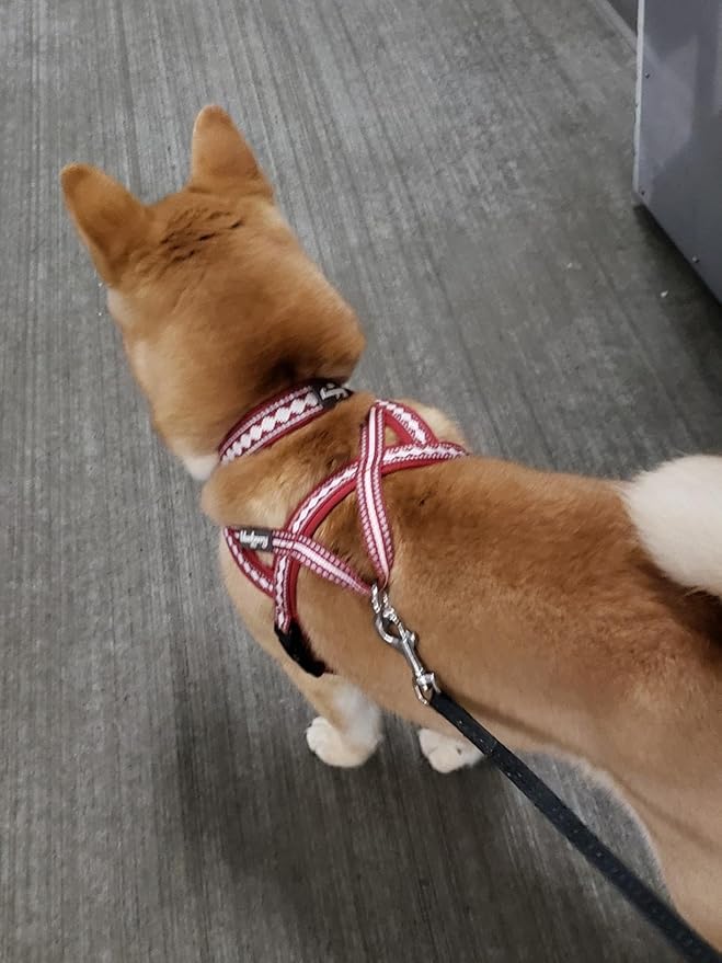 Blueberry Pet 4 Colors Soft & Comfy 3M Reflective Jacquard Padded Dog Harness, Chest Girth 16.5" - 21", Marsala Red, Small, Adjustable Harnesses for Dogs