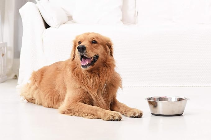 PEGGY11 Deep Stainless Steel Anti-Slip Dog Bowls - 2-Pack, 6 Cups