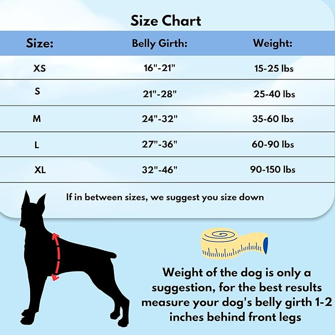 ShawnCo Dream Walk No-Pull Dog Harness- Adjustable, Comfortable, Easy to Use Pet Halter to Help Stop Pulling for Small, Medium and Large Dogs- Art Pattern Designs (White Sharks, S)