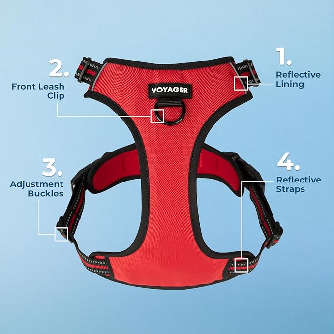 Voyager Dog Harness Dual Leash Attachment No-Pull Control Adjustable Soft but Strong Pet Harness for Medium and Large Dogs with 3M Reflective Technology, Red Lattice Nylon, M (Chest: 20-25")