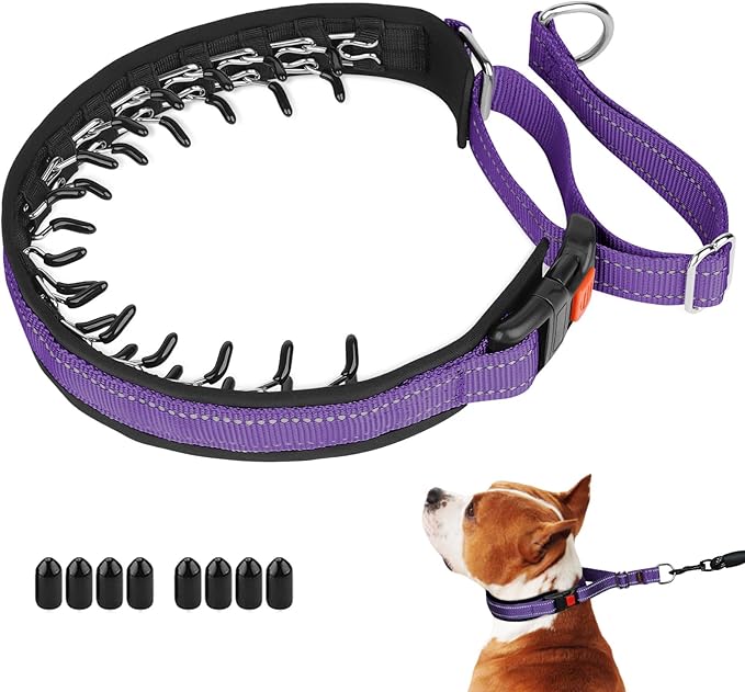 Mayerzon Martingale No Pull Collar for Medium Large Dogs, Patented Anti Pull Dog Collar with Buckle for Walking Training, with Reflective Stitching and Neoprene Padding, Adjustable(Purple, M)