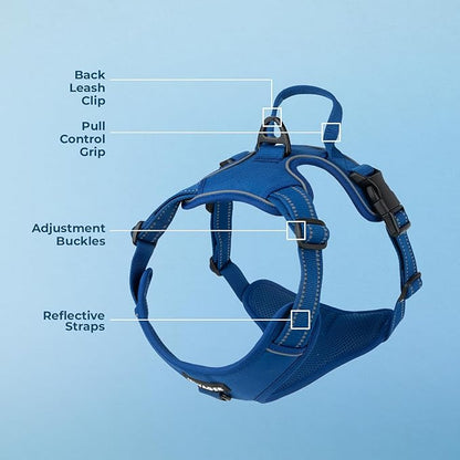 Voyager Dog Harness Dual Leash Attachment No-Pull Control Adjustable Soft but Strong Pet Harness for Medium and Large Dogs with 3M Reflective Technology, Royal Blue Lattice Nylon, XS (Chest: 13-16")