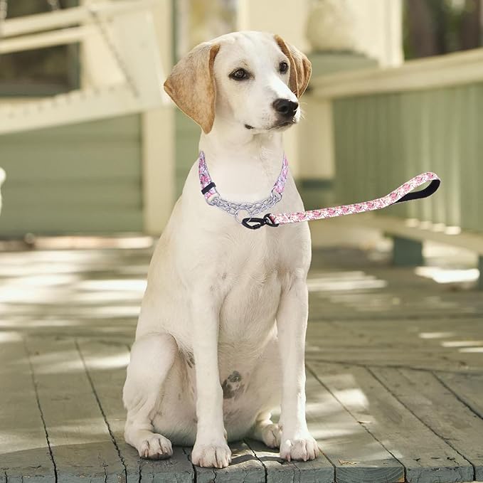Martingale Dog Collar with Stainless Steel Chain - Limited Chain Cinch Training Collar for No Pull Training Dog - Flower Multicolor Cute Patterns - Premium No Slip Collar (L, Peony Set)