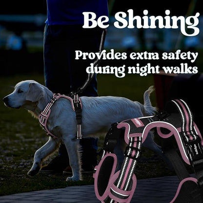 rabbitgoo Dog Harness Small Sized, No Pull Pet Harness with 3 Buckles, Adjustable Soft Padded Vest with Control Handle, Walking Reflective Pet Vest for Small Dogs, Black & Pink, S