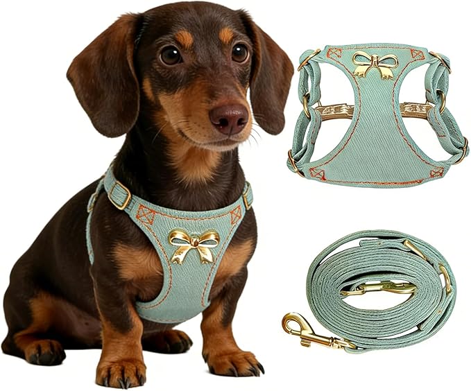 No Pull Dog Harness and Leash Set for Small Sized Dog Training; Puppy Harnesses with Multifunction Dog Leash, Soft Adjustable Denim No Choke Escape Proof Pet Harness for Small and Medium Dog (Teal XS)