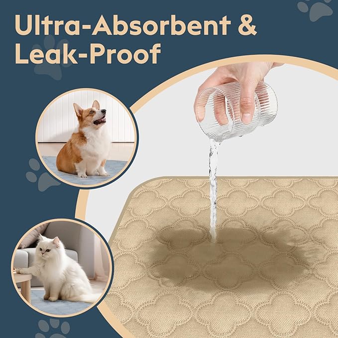 FunFurry Washable Pee Pads for Dogs - 2 Pack Reusable Waterproof Puppy Training Pads, Super Absorbent with Dog Paw Shape Non-Slip Backing (Cream, 24" X 36" - 2 Pack)