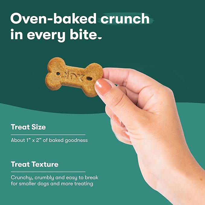 Jinx Oven-Baked Salmon Bone Broth Biscuit Dog Treats - Crunchy, All Natural, Superfood-Rich with High-Protein Salmon, Dog Biscuits for Puppies, Adults & Seniors - 16oz (Pack of 2)