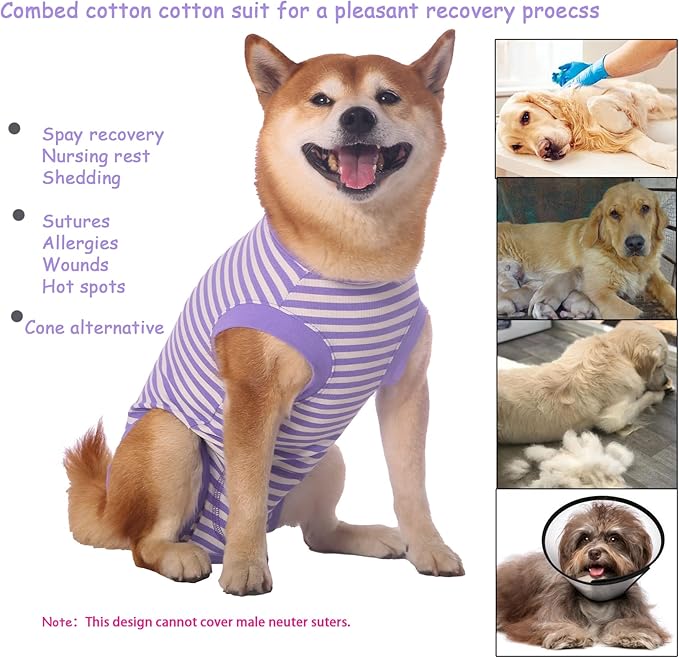 Dog Recovery Suit Female Spay Male Surgery Recovery XXX-Large Shirt,Soft Combed Cotton Puppy Suit,3XL Purple-White Striped