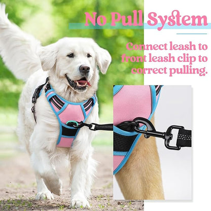 rabbitgoo Dog Harness No Pull with 2 Leash Clips, Adjustable Soft Padded, Reflective Oxford No Choke Pet Vest with Easy Control Handle for Small Dogs, Pink & Blue, S