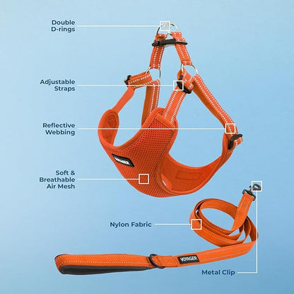 Best Pet Supplies Voyager Adjustable Step-in Flex Breathable Mesh Dog Harness for Small Medium Large Dogs Leash Set (Orange), M