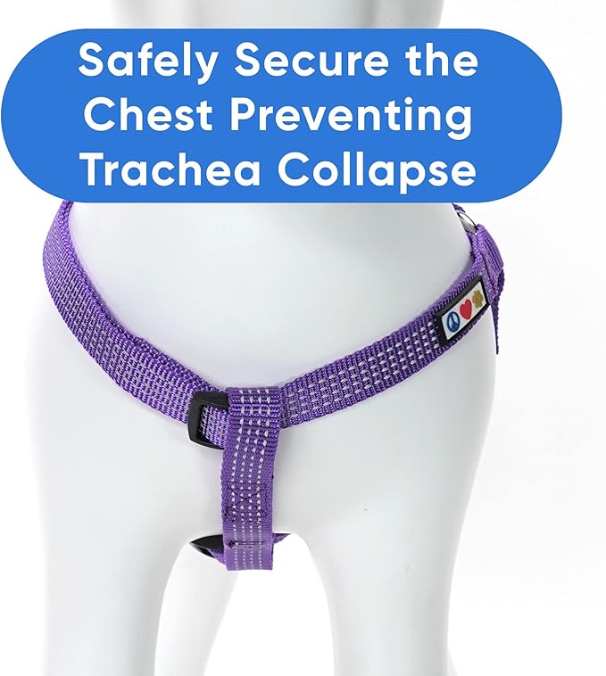 Pawtitas Reflective Step-in Dog Harness – Adjustable No-Pull Vest for Puppies to Seniors, Safe & Comfortable, S Purple