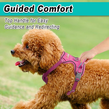 BARKBAY Dog Harness No Pull Mesh for Small Dogs - Adjustable, Reflective, Comfortable, No Choke, Heavy-Duty - Perfect for Outdoor Training, Walking, and Hiking - Strong & Durable - S & Pink Mesh