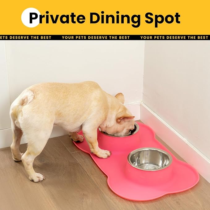 Conlun Medium Pet Feeding Station, 29oz Stainless Steel Dog Bowls Set, No Spill Food & Water Dishes with Non Slip Silicone Mat for Breeds Up to 55 Lbs, Pink