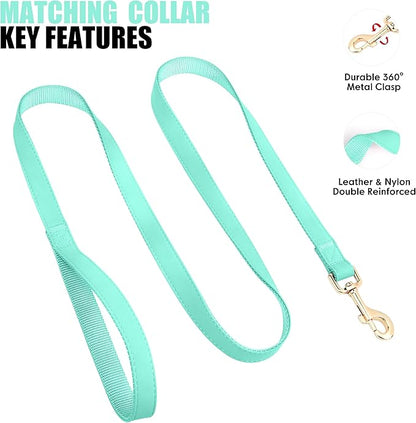 PET ARTIST Soft PU Leather Dog Collar and Leash Set, Bright & Stylish 5FT PU Leather Leash and Collar Set, Durable Pet Collars with Quick Release Metal Buckle for Medium Dogs,Mint Green,M(13-19")