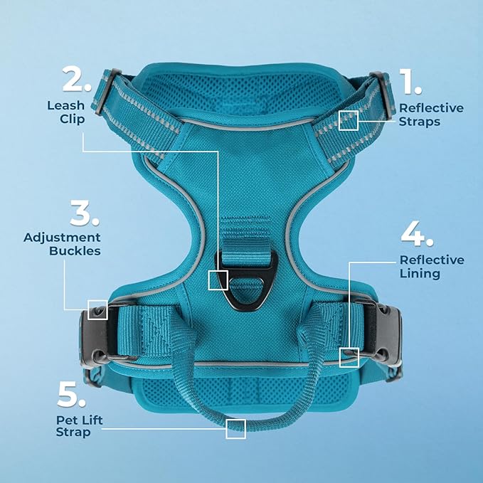 Voyager Dog Harness Dual Leash Attachment No-Pull Control Adjustable Soft but Strong Pet Harness for Medium and Large Dogs with 3M Reflective Technology, Turquoise Nylon, L (Chest: 25-30")