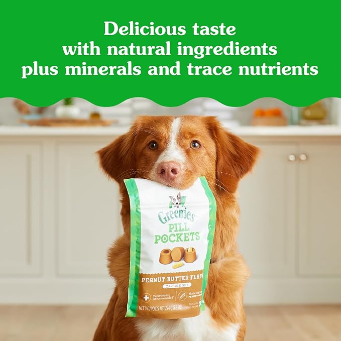 Greenies Pill Pockets for Dogs Large Size, Dog Treat Pouch for Capsule Medication, Peanut Butter Flavor, (6) 7.9 oz. Pouches