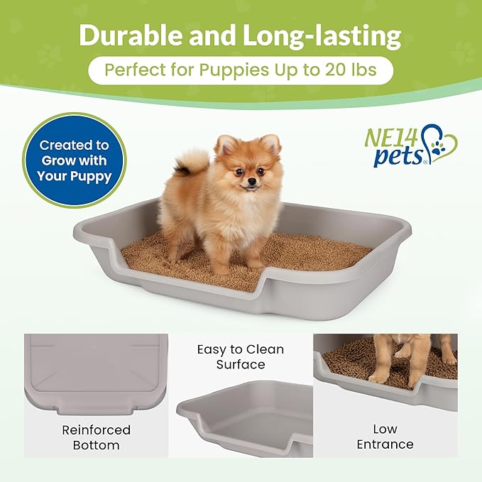 Puppy Pan Indoor Litter Box Training Starter Kit, Misty Gray Large Pan with Natural Pine Litter, Extra Long Litter Scoop and Training Guide