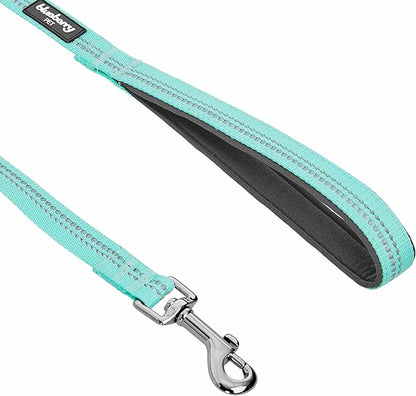 Blueberry Pet 3M Reflective Pastel Color Dog Leash with Soft & Comfortable Handle, 5 ft x 5/8", Mint Blue, Small, Leashes for Dogs