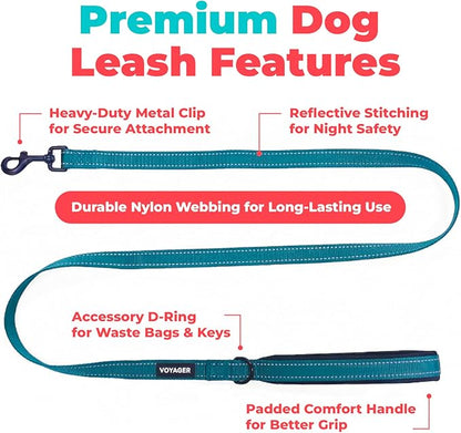 Best Pet Supplies Voyager Reflective Dog Leash or Collar with Neoprene Handle, for Small, Medium, and Large Breed Puppies, Cute and Heavy Duty for Walking, Running and Training - Turquoise (Leash), L