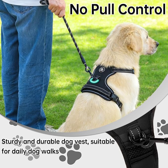 NESTROAD No Pull Dog Harness,Adjustable Oxford Dog Vest Harness with Leash,Reflective No-Choke Pet Harness with Easy Control Soft Handle for Small Dogs(Small,Black)