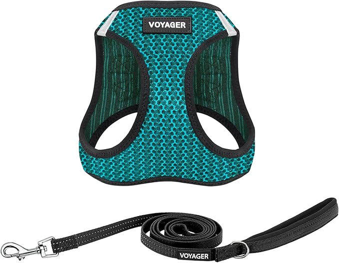 Best Pet Supplies Voyager Step-in Air All Weather Mesh Harness and Reflective Dog 5ft Leash Combo with Neoprene Handle, for Small, Medium and Large Breed Puppies - Set (Turquoise 2-Tone), Large