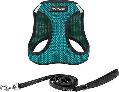 Best Pet Supplies Voyager Step-in Air All Weather Mesh Harness and Reflective Dog 5ft Leash Combo with Neoprene Handle, for Small, Medium and Large Breed Puppies - Set (Turquoise 2-Tone), Large