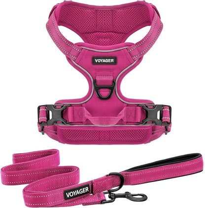 Voyager Dog Harness Dual Leash Attachment No-Pull Control Adjustable Soft but Strong Pet Harness for Medium and Large Dogs with 3M Reflective Technology, Leash Set Fuchsia Nylon, M (Chest: 20-25")
