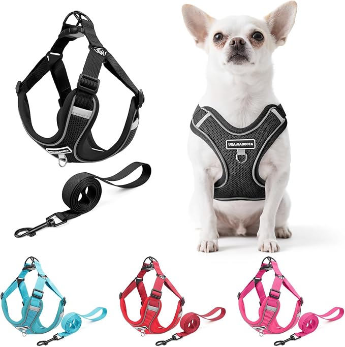 Dog Harness and Leash Set, Adjustable Triangle, Reflective Adjustable Puppy Vest, No Pull Soft Mesh Harness for Small, Medium Dogs, Cats (Black, XL)