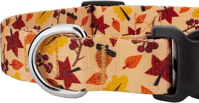Country Brook Petz - Fall Foliage Everyday Dog Collar and Leash - Awesome Autumn Collection Featuring Designs You Will Fall for (1/2 Inch, 2XS)