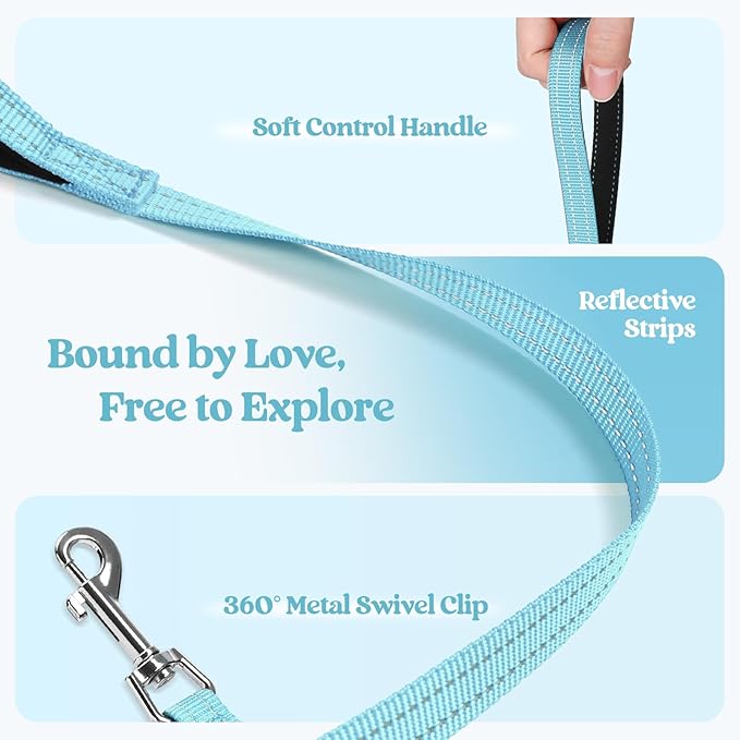 rabbitgoo Dog Harness Small Medium Sized and Leash Set, Step in Soft Light Puppy Vest, Breathable Mesh Pet Harness, Reflective for Safe Easy Walking, Mint Blue XL
