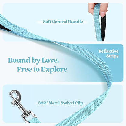 rabbitgoo Dog Harness Small Sized and Leash Set, Step in Soft Light Puppy Vest, Breathable Mesh Pet Harness, Reflective for Safe Easy Walking, Mint Blue XXXS